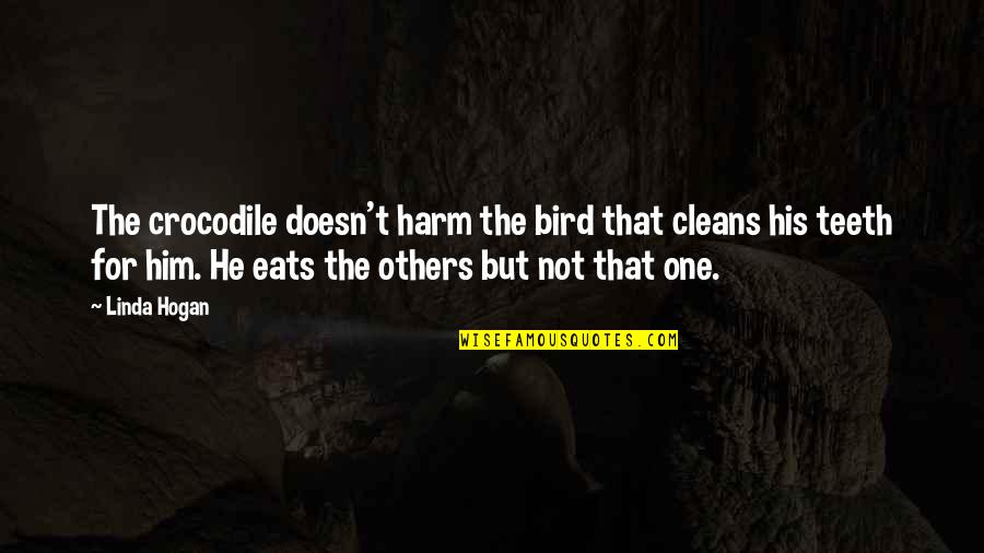 Sibyllic Quotes By Linda Hogan: The crocodile doesn't harm the bird that cleans