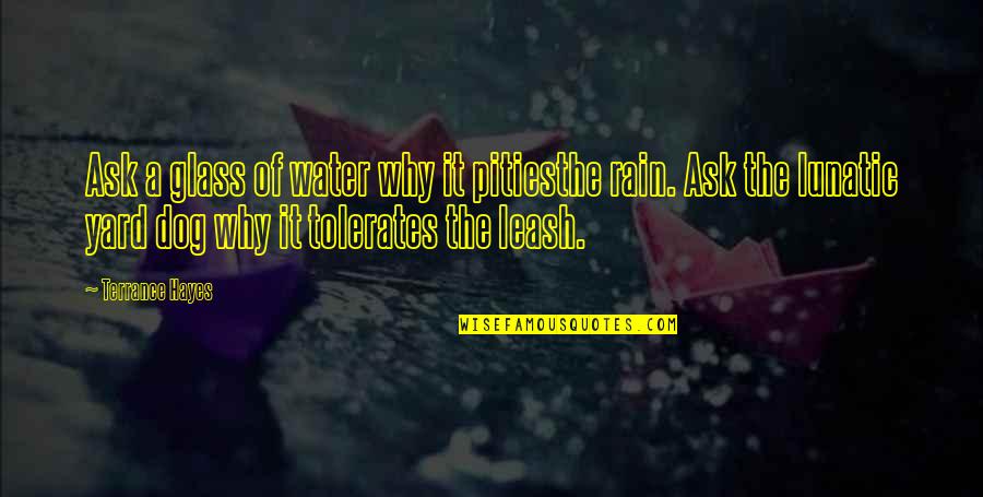 Sicat Jmt Quotes By Terrance Hayes: Ask a glass of water why it pitiesthe Sicat Jmt Quotes By Terrance Hayes: Ask a glass of water why it pitiesthe