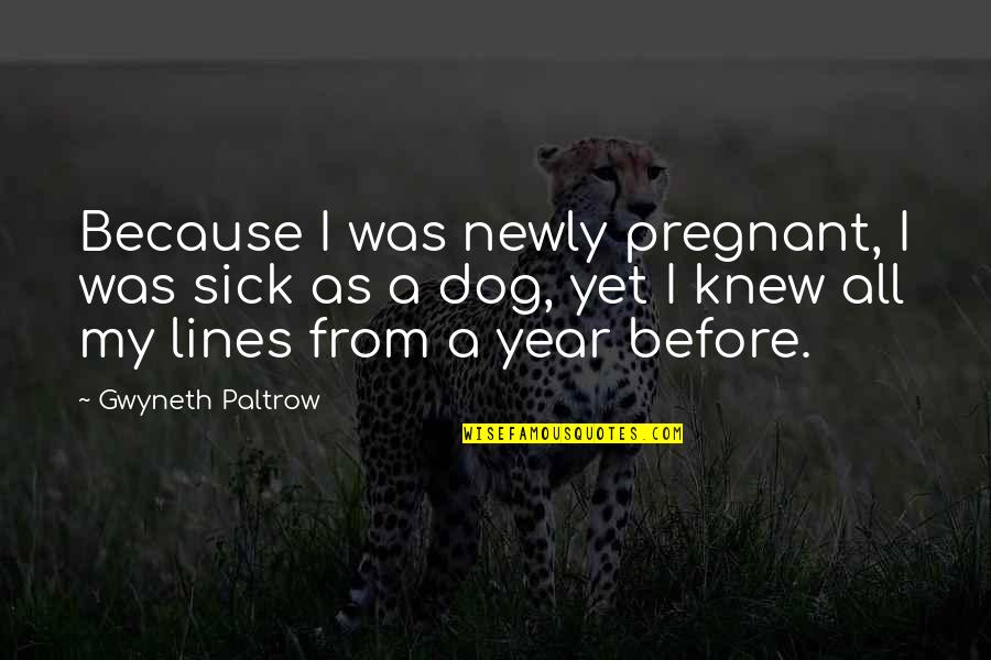 Sick And Pregnant Quotes By Gwyneth Paltrow: Because I was newly pregnant, I was sick