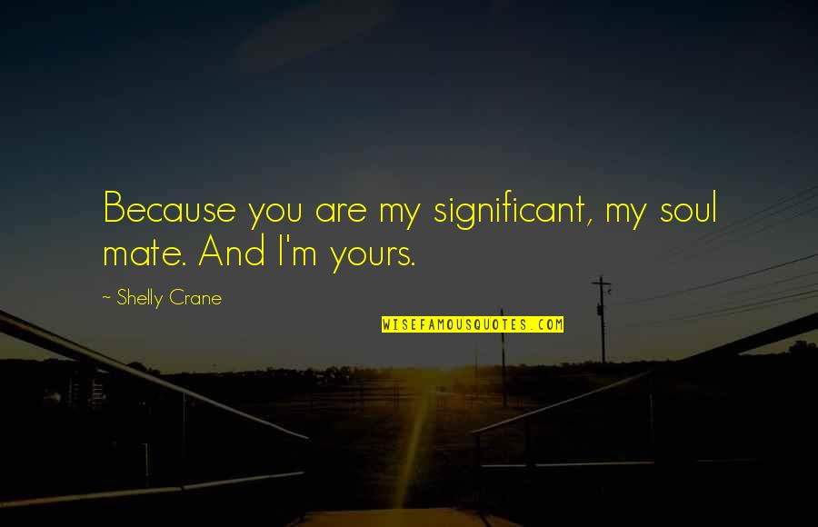 Sick Child Quotes By Shelly Crane: Because you are my significant, my soul mate.