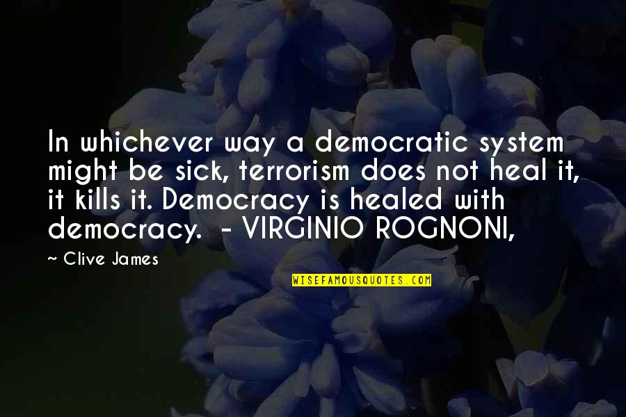 Sick Heal Quotes By Clive James: In whichever way a democratic system might be