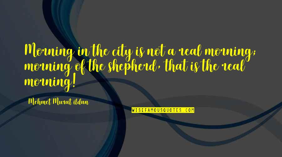 Sickest Quotes By Mehmet Murat Ildan: Morning in the city is not a real