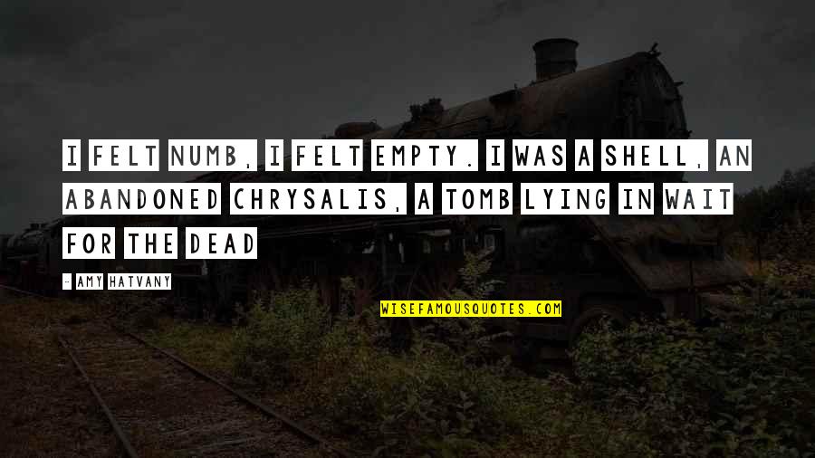 Sickets Quotes By Amy Hatvany: I felt numb, I felt empty. I was
