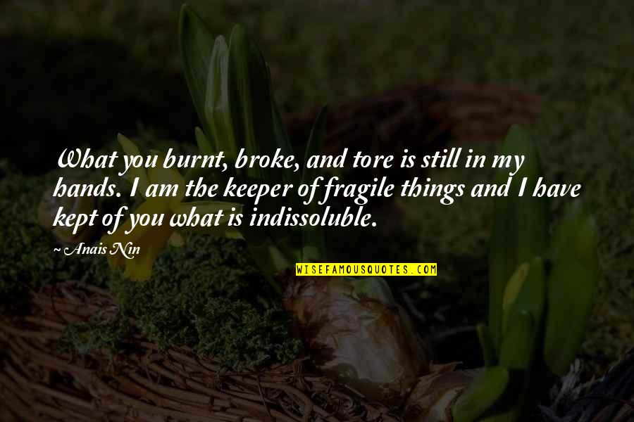 Sicklemia Quotes By Anais Nin: What you burnt, broke, and tore is still