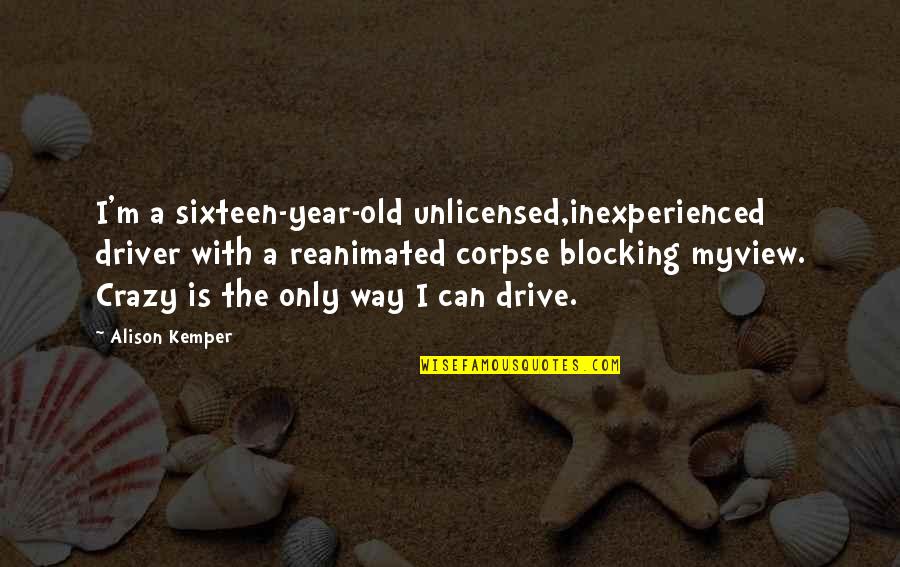 Sickness And Strength Quotes By Alison Kemper: I'm a sixteen-year-old unlicensed,inexperienced driver with a reanimated