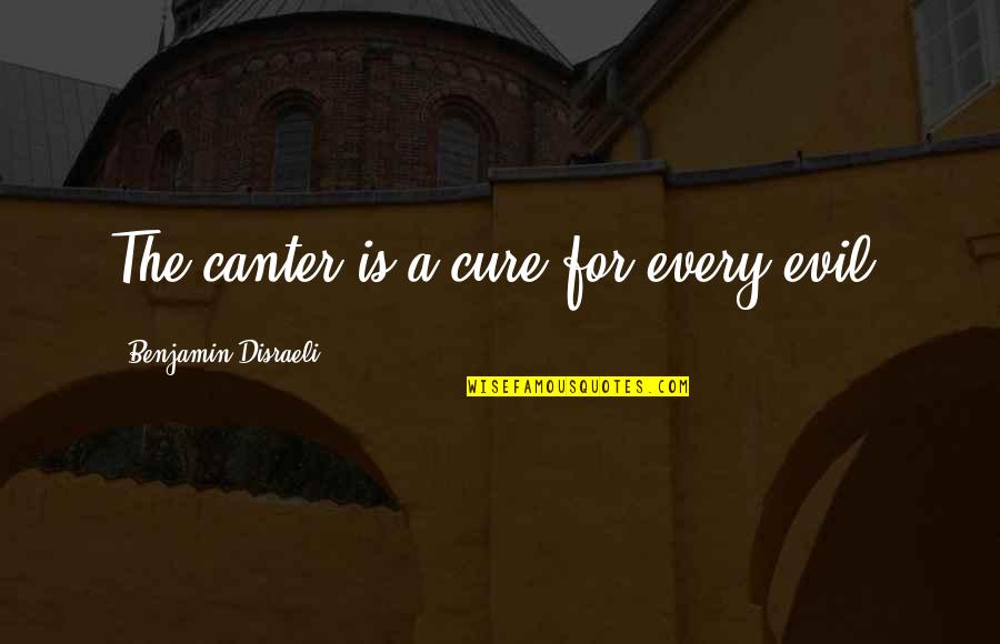 Sickness Quotes By Benjamin Disraeli: The canter is a cure for every evil.