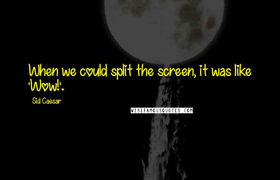 Sid Caesar quotes: When we could split the screen, it was like 'Wow!'.