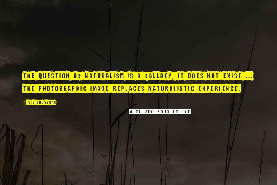 Sid Grossman quotes: The question of naturalism is a fallacy, it does not exist ... The photographic image replaces naturalistic experience. Sid Grossman quotes: The question of naturalism is a fallacy, it does not exist ... The photographic image replaces naturalistic experience.