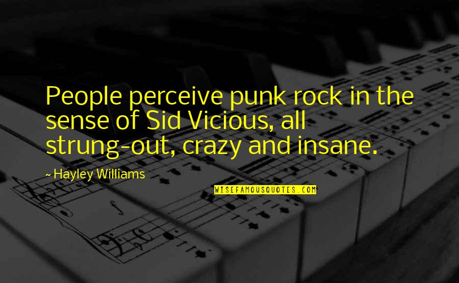 Sid Vicious Quotes By Hayley Williams: People perceive punk rock in the sense of