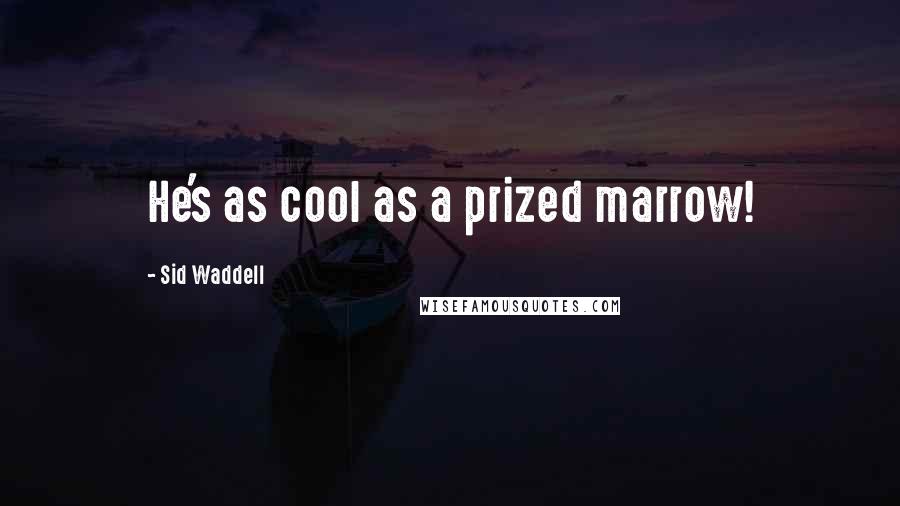 Sid Waddell quotes: He's as cool as a prized marrow!