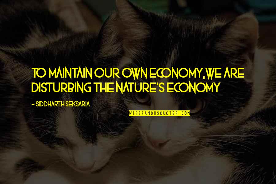 Siddharth Quotes By Siddharth Seksaria: To maintain our own economy,we are disturbing the