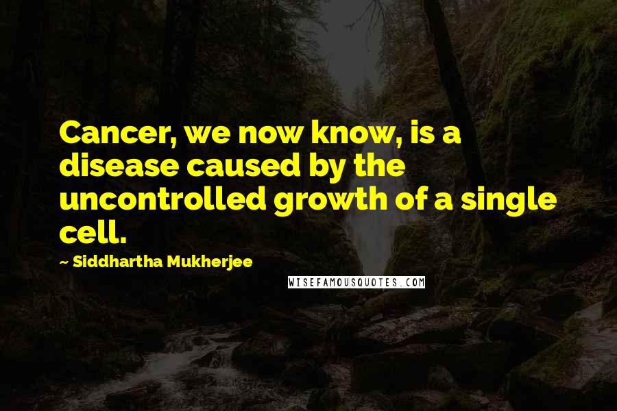 Siddhartha Mukherjee quotes: Cancer, we now know, is a disease caused by the uncontrolled growth of a single cell.