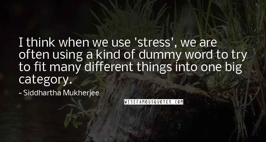 Siddhartha Mukherjee quotes: I think when we use 'stress', we are often using a kind of dummy word to try to fit many different things into one big category.