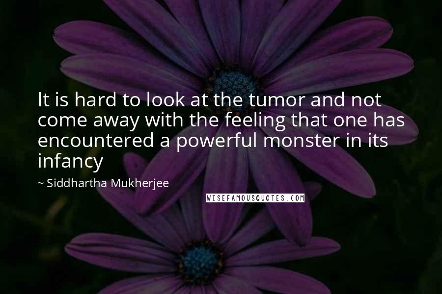 Siddhartha Mukherjee quotes: It is hard to look at the tumor and not come away with the feeling that one has encountered a powerful monster in its infancy