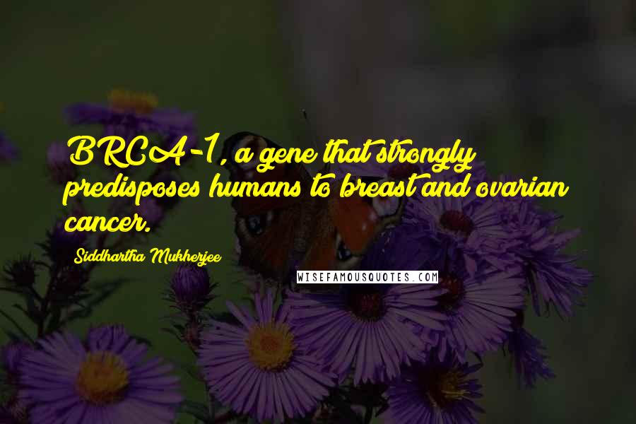 Siddhartha Mukherjee quotes: BRCA-1, a gene that strongly predisposes humans to breast and ovarian cancer.