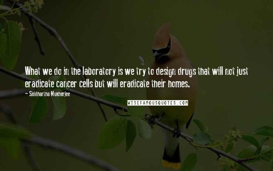 Siddhartha Mukherjee quotes: What we do in the laboratory is we try to design drugs that will not just eradicate cancer cells but will eradicate their homes.