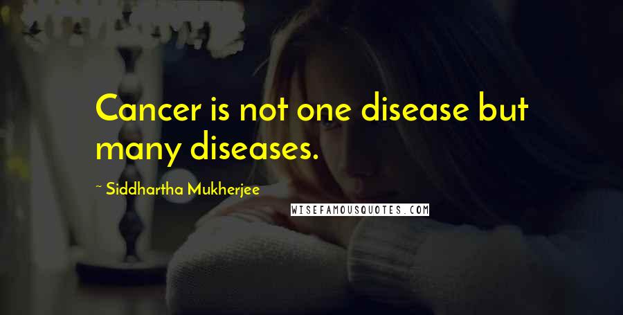 Siddhartha Mukherjee quotes: Cancer is not one disease but many diseases.