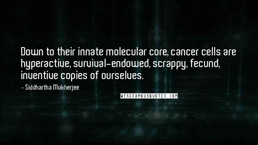 Siddhartha Mukherjee quotes: Down to their innate molecular core, cancer cells are hyperactive, survival-endowed, scrappy, fecund, inventive copies of ourselves.