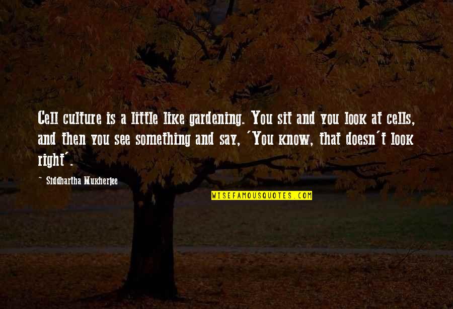 Siddhartha Mukherjee Quotes By Siddhartha Mukherjee: Cell culture is a little like gardening. You Siddhartha Mukherjee Quotes By Siddhartha Mukherjee: Cell culture is a little like gardening. You