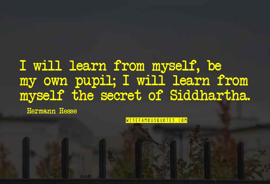 Siddhartha Quotes By Hermann Hesse: I will learn from myself, be my own