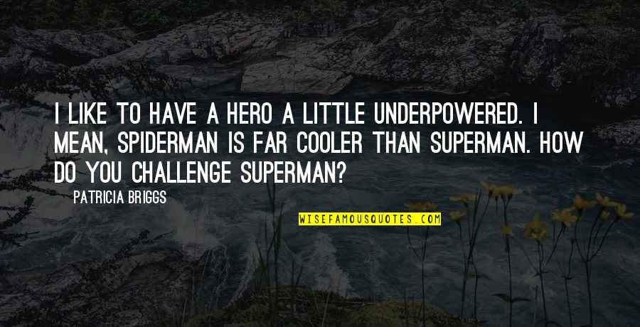 Side Girl Quotes By Patricia Briggs: I like to have a hero a little