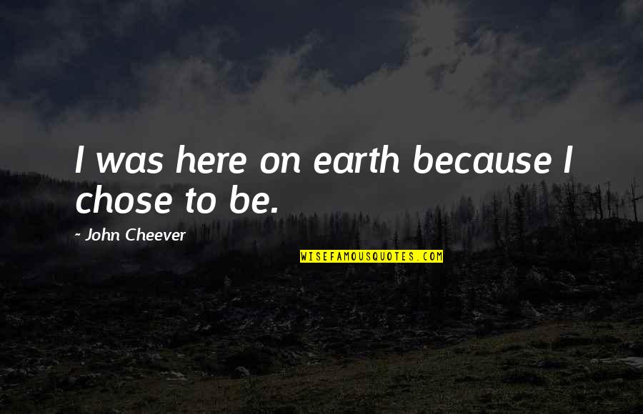 Sideliners Sand Quotes By John Cheever: I was here on earth because I chose Sideliners Sand Quotes By John Cheever: I was here on earth because I chose