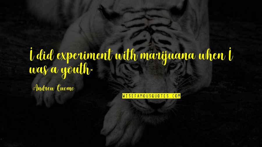 Sidelong Crossword Quotes By Andrew Cuomo: I did experiment with marijuana when I was Sidelong Crossword Quotes By Andrew Cuomo: I did experiment with marijuana when I was