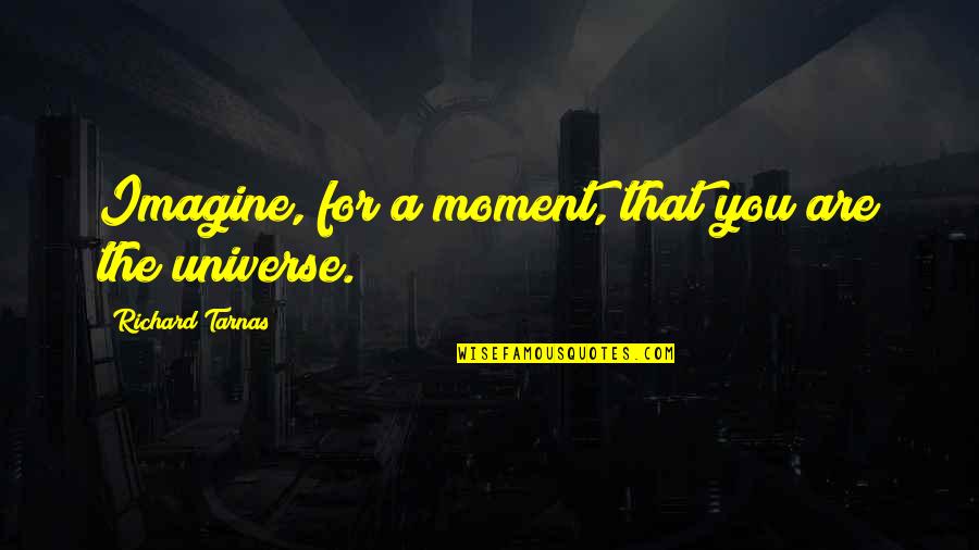 Sidenius Engenheiro Quotes By Richard Tarnas: Imagine, for a moment, that you are the Sidenius Engenheiro Quotes By Richard Tarnas: Imagine, for a moment, that you are the