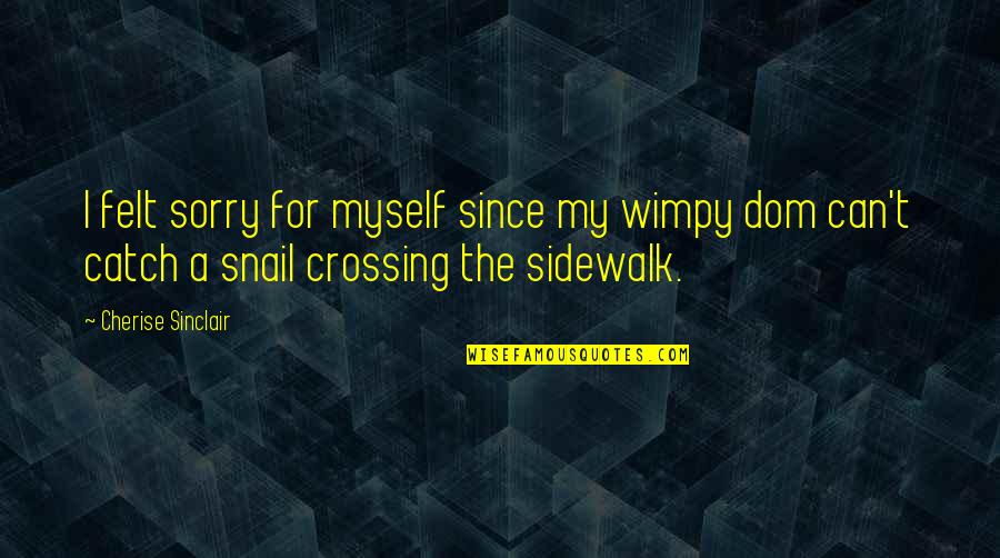 Sidewalk Quotes By Cherise Sinclair: I felt sorry for myself since my wimpy Sidewalk Quotes By Cherise Sinclair: I felt sorry for myself since my wimpy
