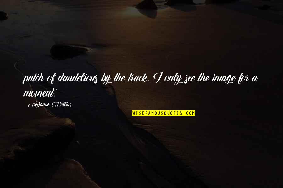 Sideways Famous Quotes By Suzanne Collins: patch of dandelions by the track. I only