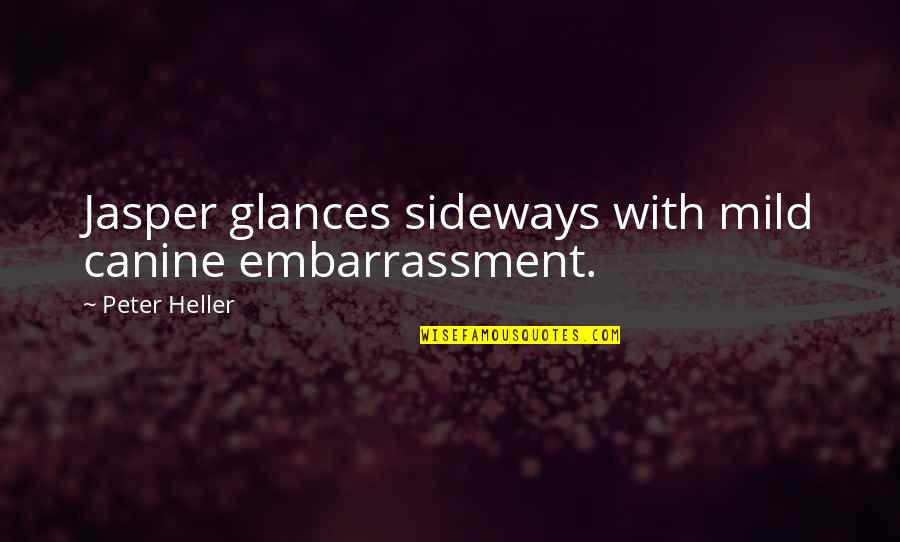 Sideways Quotes By Peter Heller: Jasper glances sideways with mild canine embarrassment. Sideways Quotes By Peter Heller: Jasper glances sideways with mild canine embarrassment.