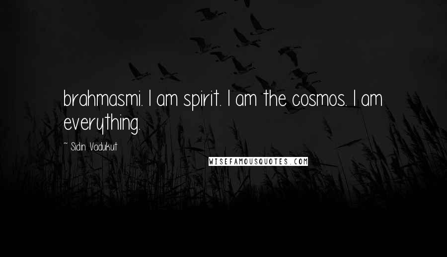 Sidin Vadukut quotes: brahmasmi. I am spirit. I am the cosmos. I am everything.