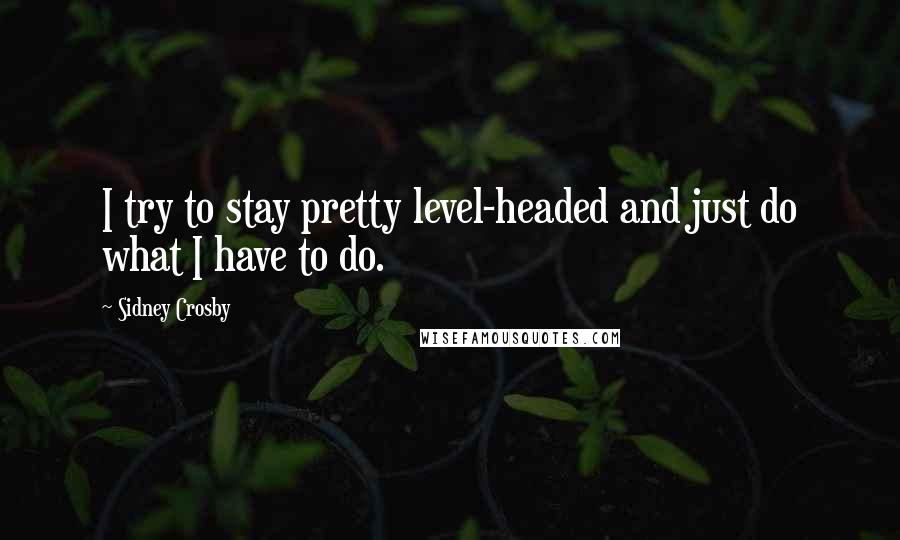 Sidney Crosby quotes: I try to stay pretty level-headed and just do what I have to do.