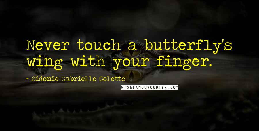 Sidonie Gabrielle Colette quotes: Never touch a butterfly's wing with your finger.