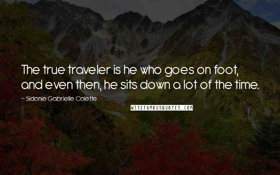 Sidonie Gabrielle Colette quotes: The true traveler is he who goes on foot, and even then, he sits down a lot of the time.