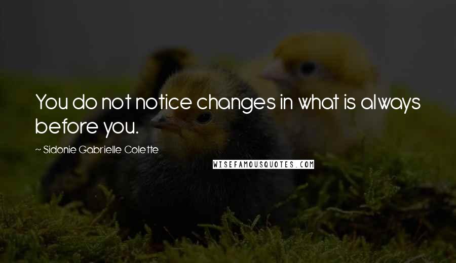 Sidonie Gabrielle Colette quotes: You do not notice changes in what is always before you.