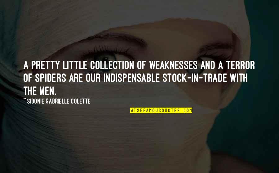 Sidonie Gabrielle Quotes By Sidonie Gabrielle Colette: A pretty little collection of weaknesses and a