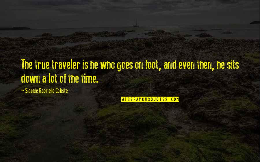 Sidonie Quotes By Sidonie Gabrielle Colette: The true traveler is he who goes on