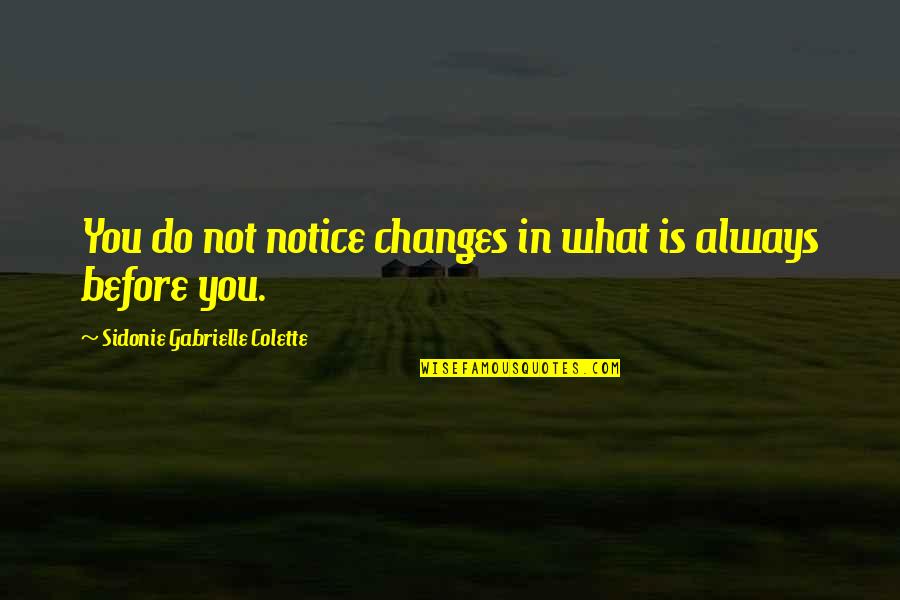 Sidonie Quotes By Sidonie Gabrielle Colette: You do not notice changes in what is