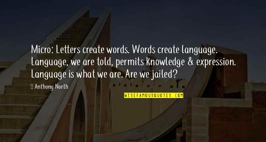 Sidonio Sokolov Quotes By Anthony North: Micro: Letters create words. Words create language. Language,