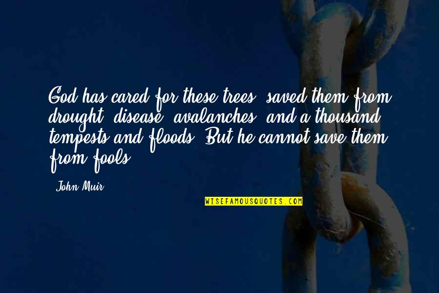 Sieg Fate Quotes By John Muir: God has cared for these trees, saved them
