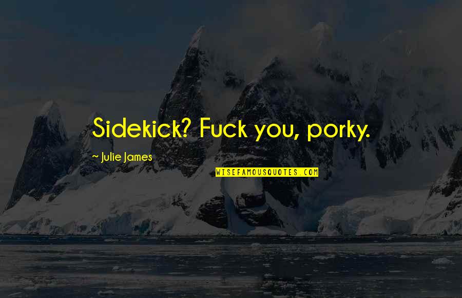 Siegfried Giedion Quotes By Julie James: Sidekick? Fuck you, porky.