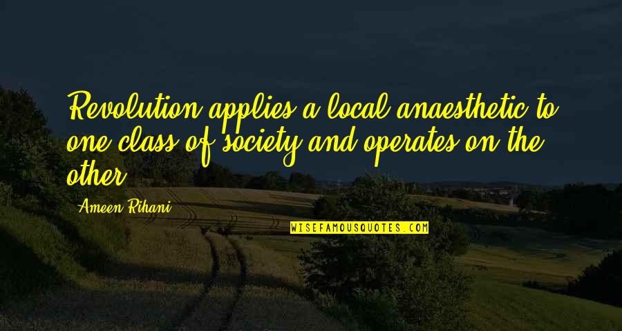 Siemion Mogilewicz Quotes By Ameen Rihani: Revolution applies a local anaesthetic to one class Siemion Mogilewicz Quotes By Ameen Rihani: Revolution applies a local anaesthetic to one class