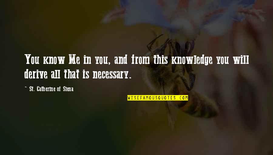 Siena Quotes By St. Catherine Of Siena: You know Me in you, and from this