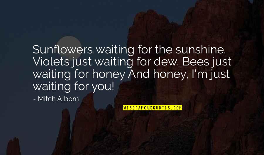 Sienna Miller Alfie Quotes By Mitch Albom: Sunflowers waiting for the sunshine. Violets just waiting