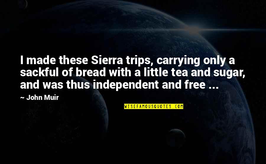 Sierra Quotes By John Muir: I made these Sierra trips, carrying only a