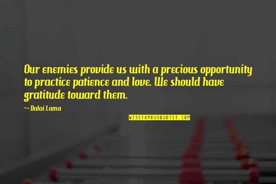 Sierras De Cordoba Quotes By Dalai Lama: Our enemies provide us with a precious opportunity Sierras De Cordoba Quotes By Dalai Lama: Our enemies provide us with a precious opportunity