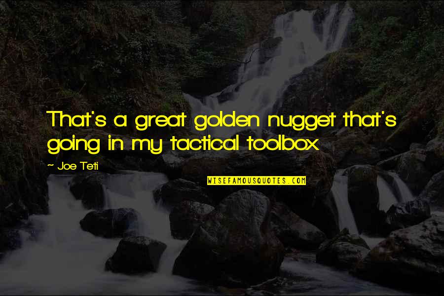 Sifora Durrurrnga Quotes By Joe Teti: That's a great golden nugget that's going in