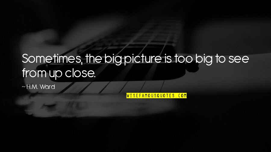Sifted Cake Quotes By H.M. Ward: Sometimes, the big picture is too big to