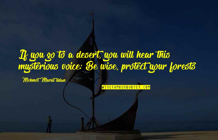 Sifted Quotes By Mehmet Murat Ildan: If you go to a desert, you will